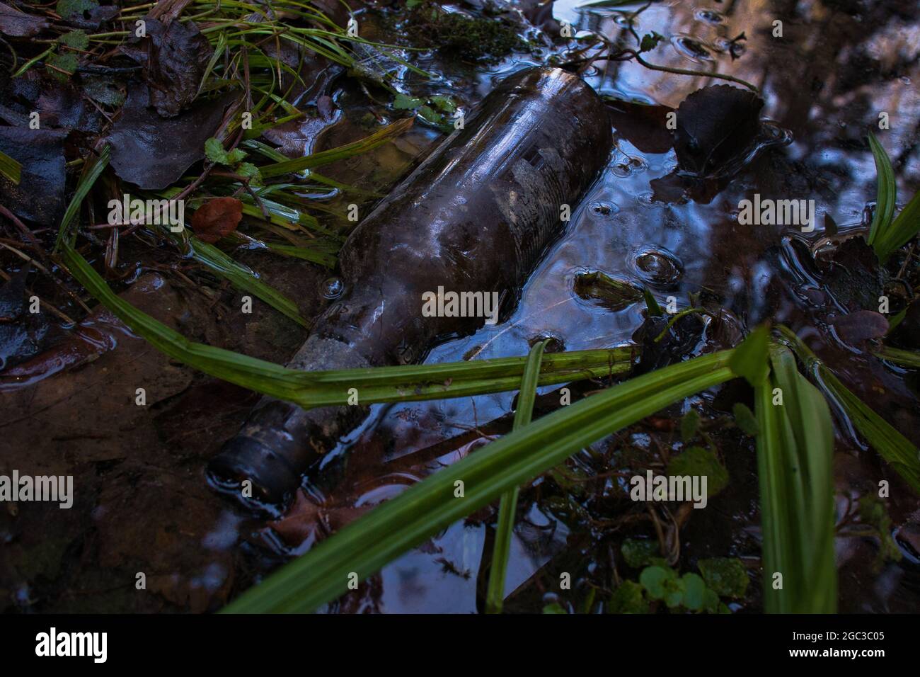 Dirty glass bottle in the mud and grass Stock Photo - Alamy