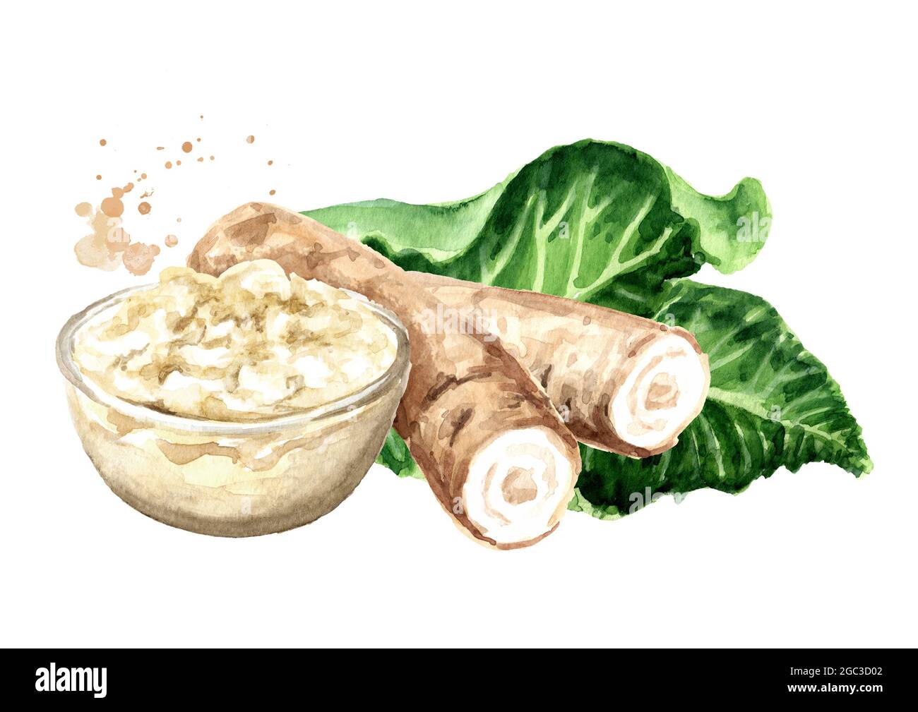 Horseradish sauce in the bowl, root and leaves. Hand drawn watercolor
