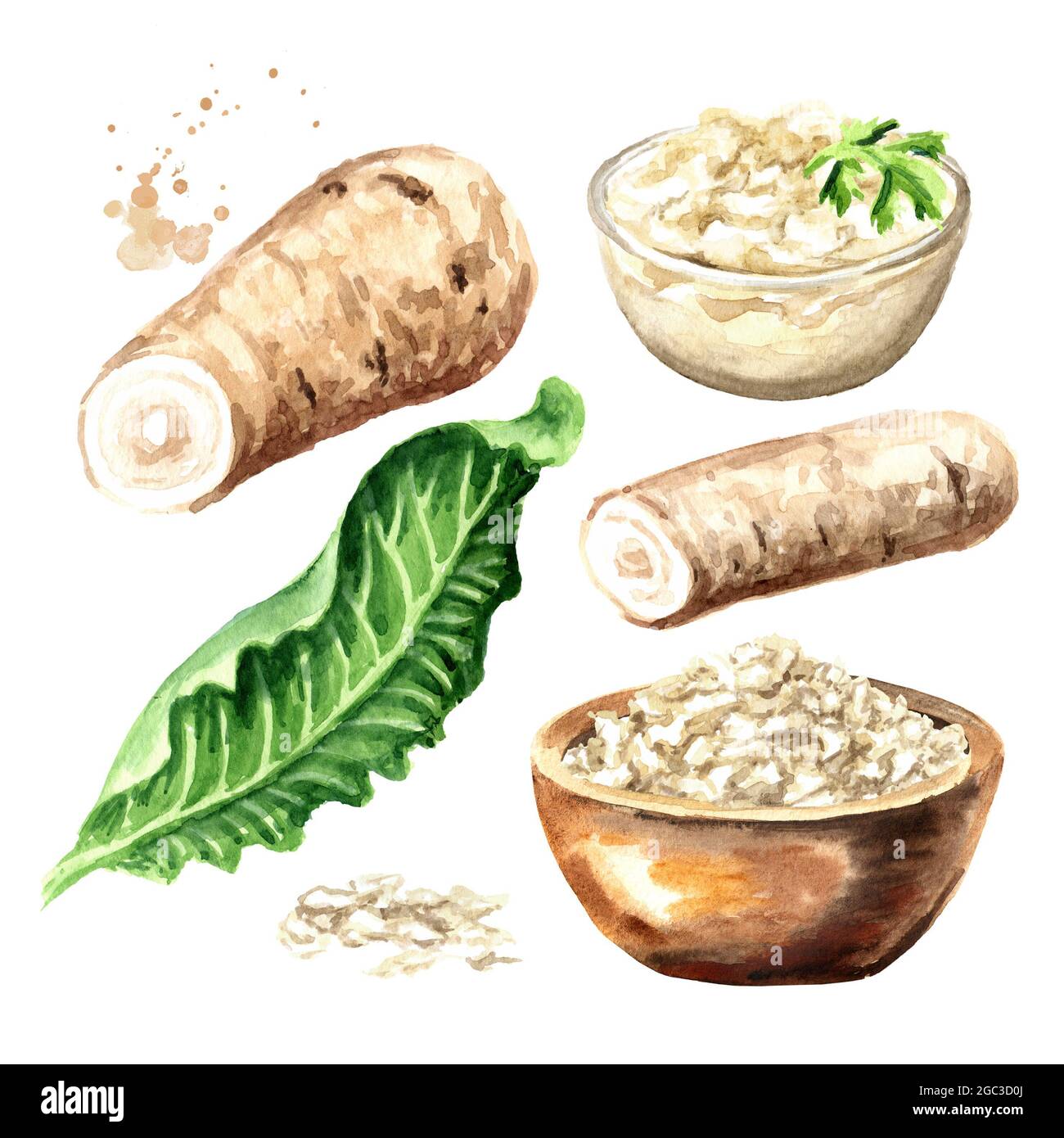 Horseradish sauce in the bowl, root, leaves and grated horseradish set