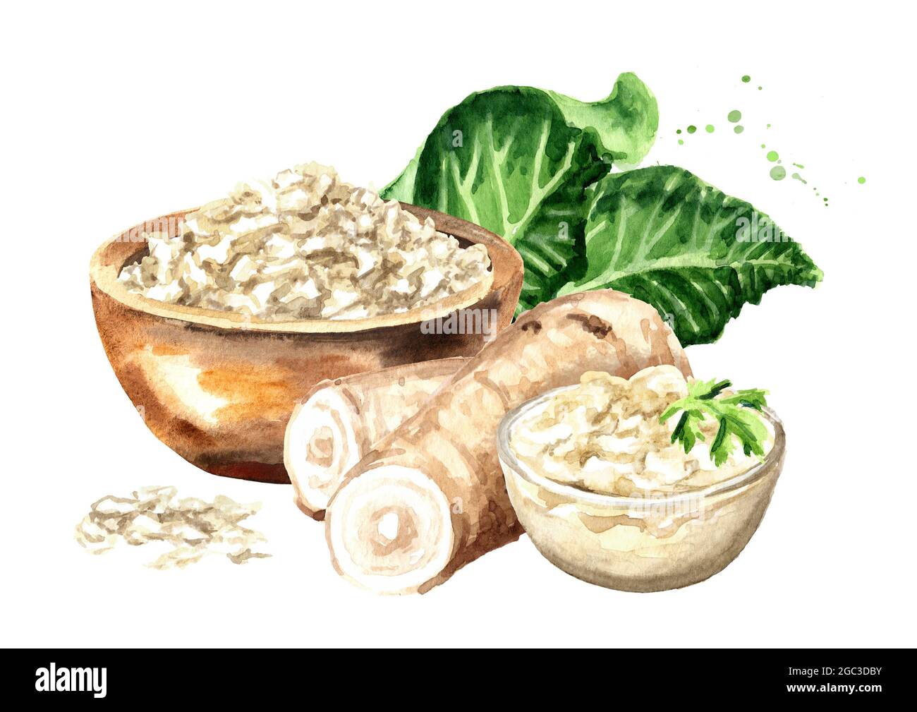 Horseradish sauce in the bowl, root, leaves and grated horseradish