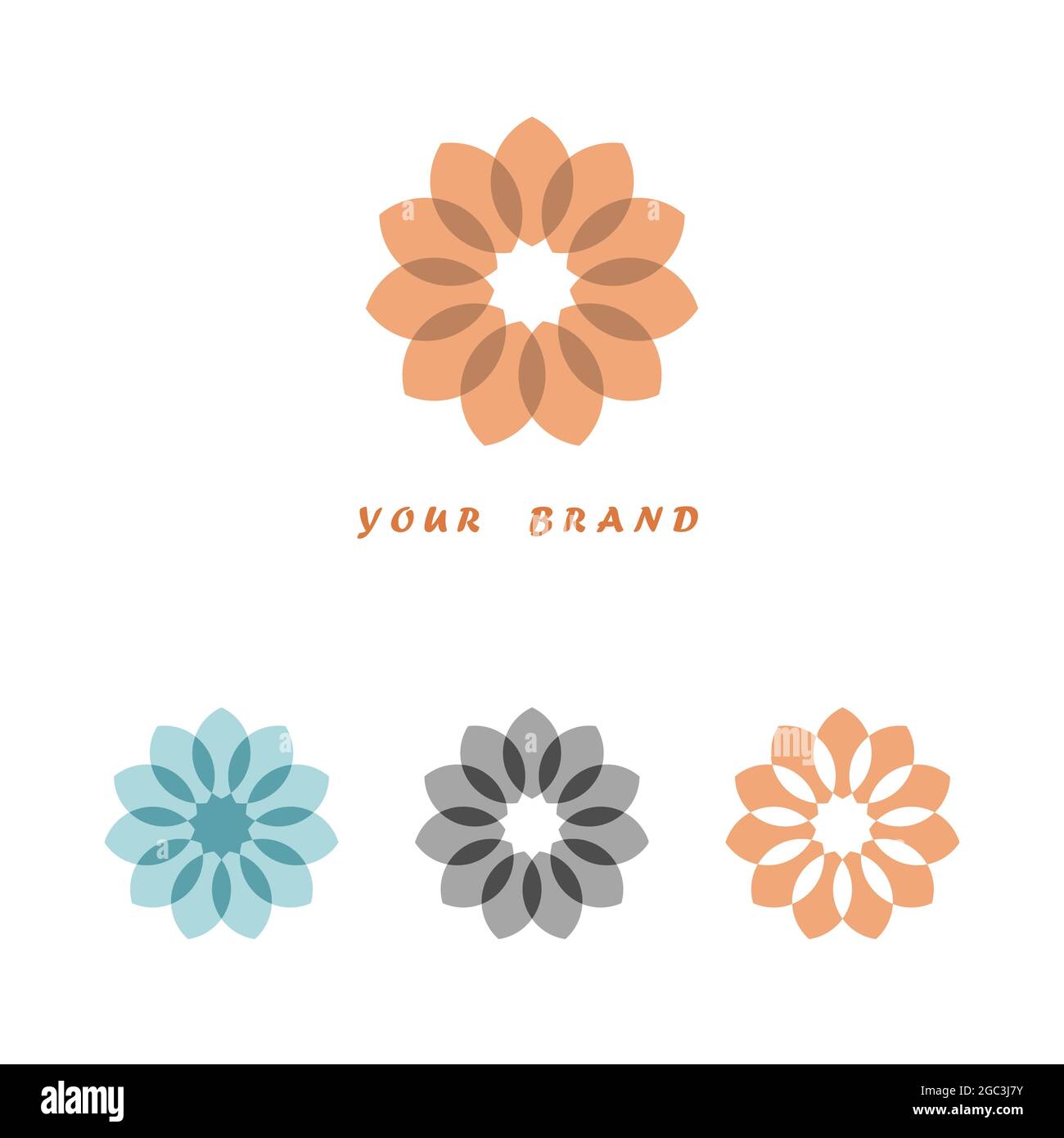 Illustration of a flower-shaped logo design with three different versions on a white background Stock Photo