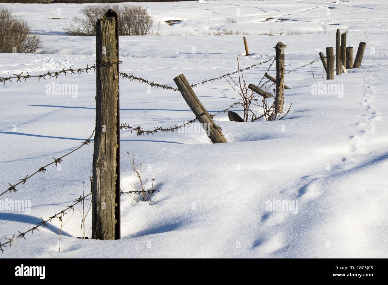 Winter view of snow and rusted barbed wire fences in it Stock Photo - Alamy