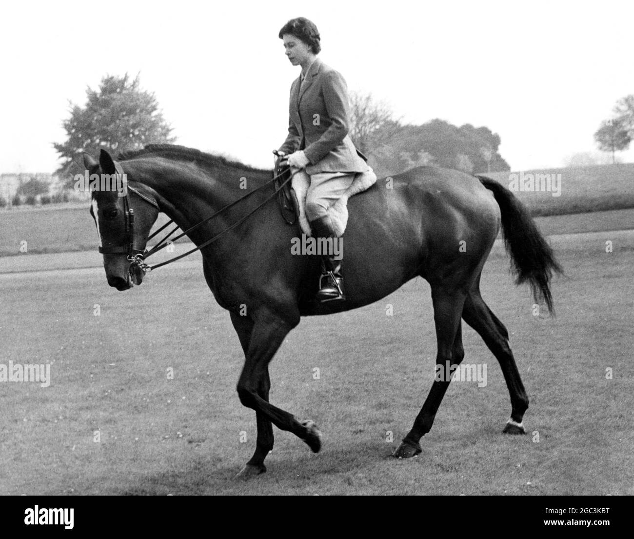 HM Queen Elizabeth II on Sultan at Windsor The bay thoroughbred was given to the Queen by the President of Pakistan in 1959 18th May 1961 Stock Photo