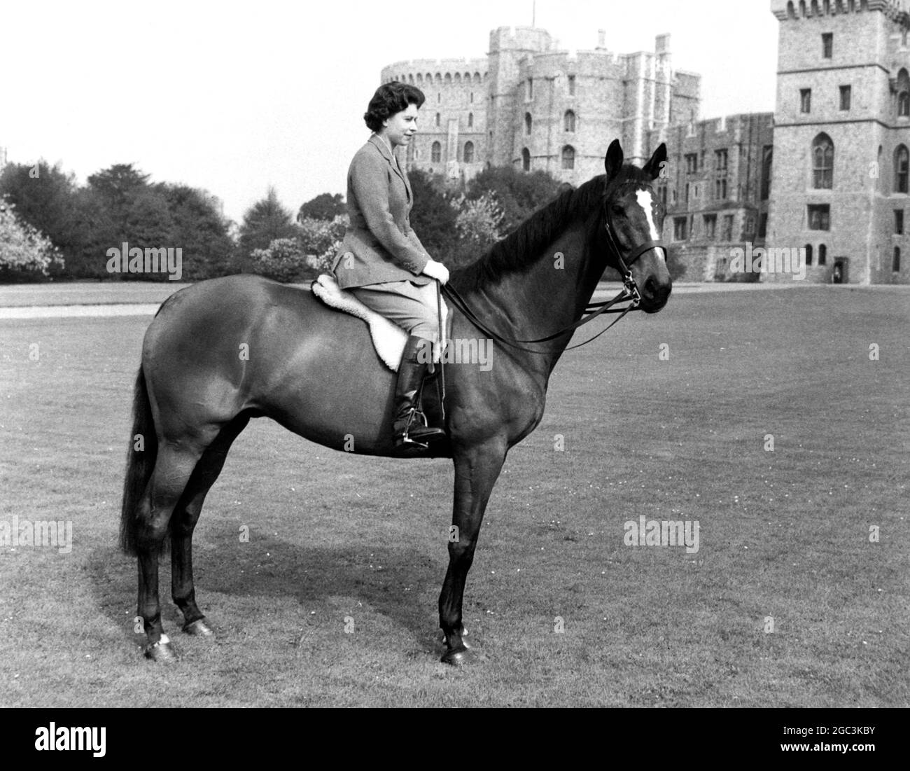 HM Queen Elizabeth II on Sultan with Windsor Castle in the background . The bay thoroughbred was given to the Queen by the President of Pakistan in 1959 18th May 1961 Stock Photo