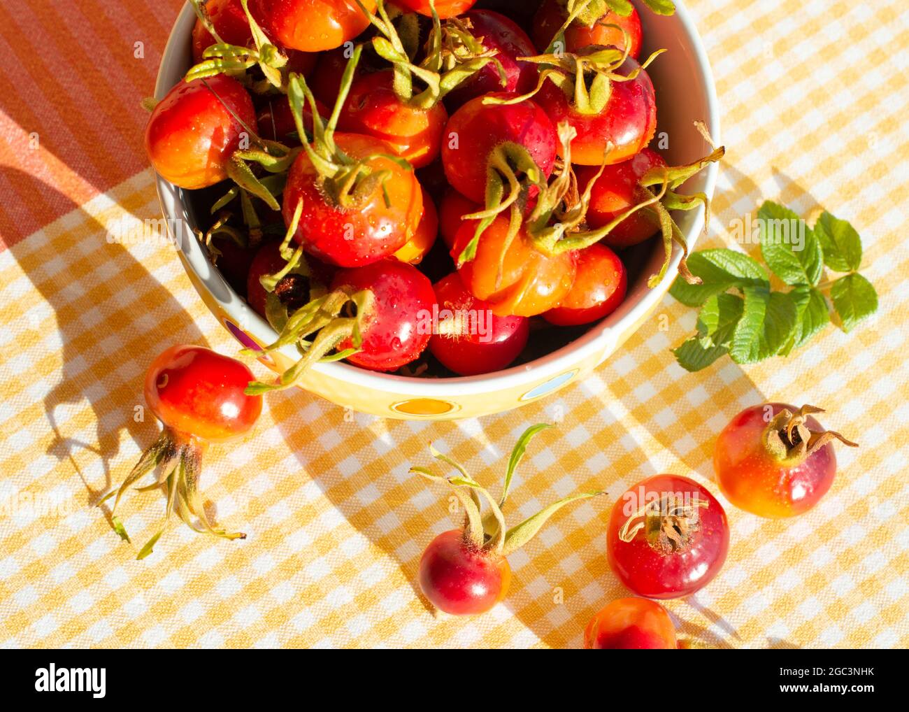 Fruits wild Rose hips of Beach Rose (Rosa rugosa) in a bowl. Close up. Top view. Stock Photo