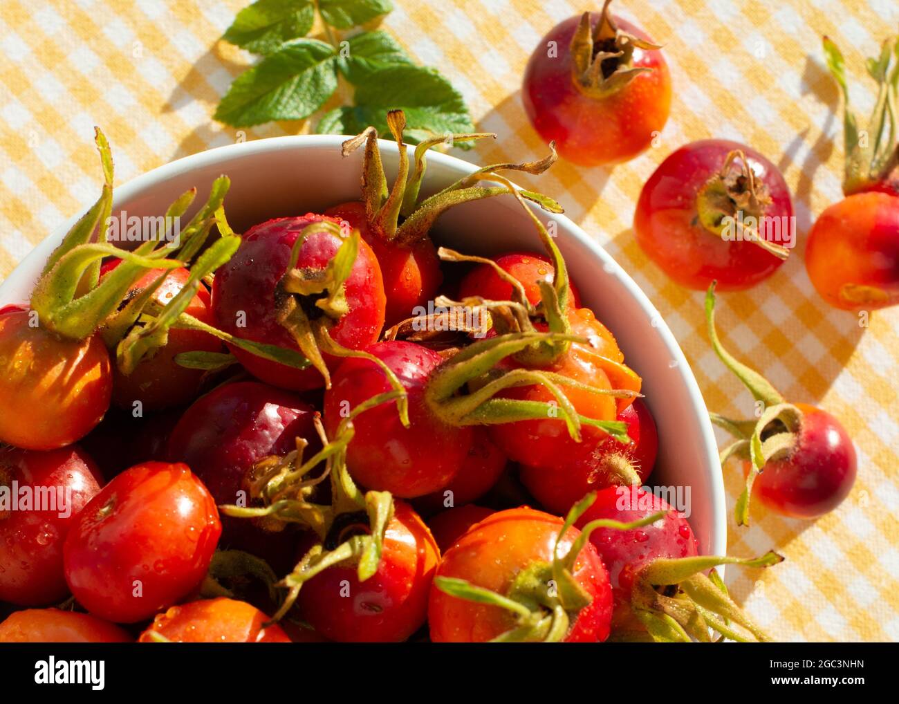 Fruits wild Rose hips of Beach Rose (Rosa rugosa) in a bowl. Close up. Top view. Stock Photo