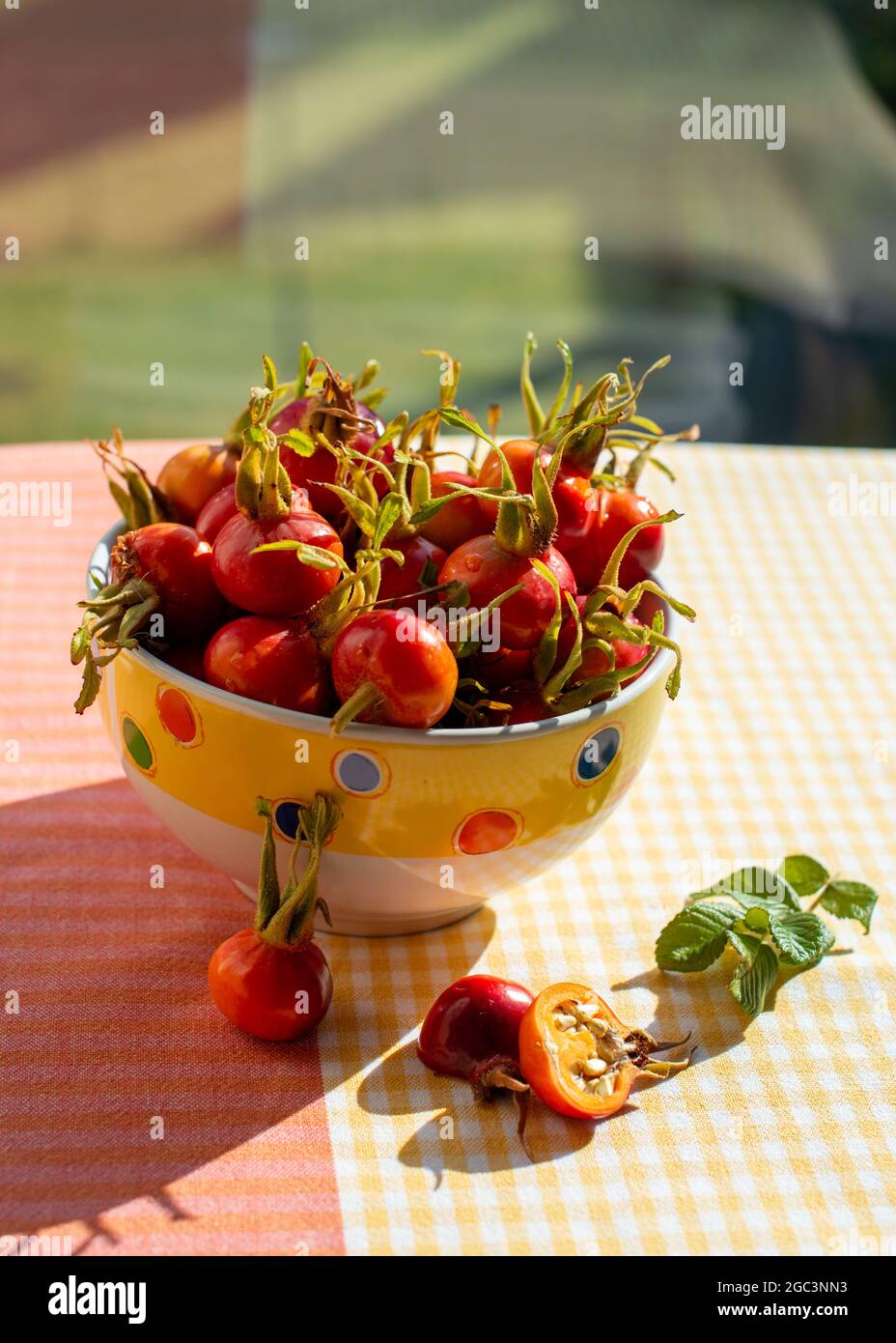 Fruits wild Rose hips of Beach Rose (Rosa rugosa) in a bowl. Close up. Window in the background. Stock Photo
