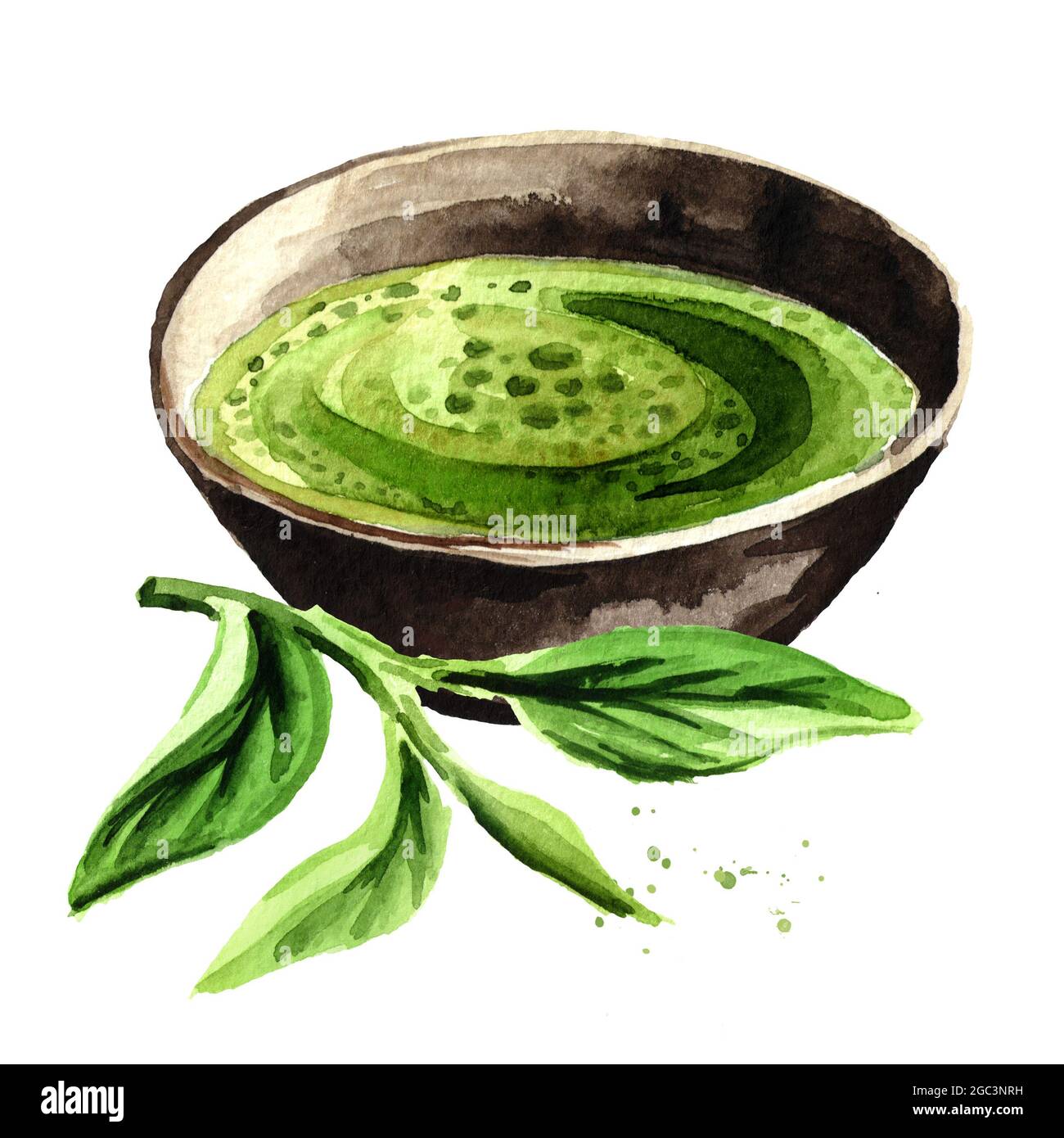 Organic green Matcha tea with green tea leaves. Watercolor hand drawn