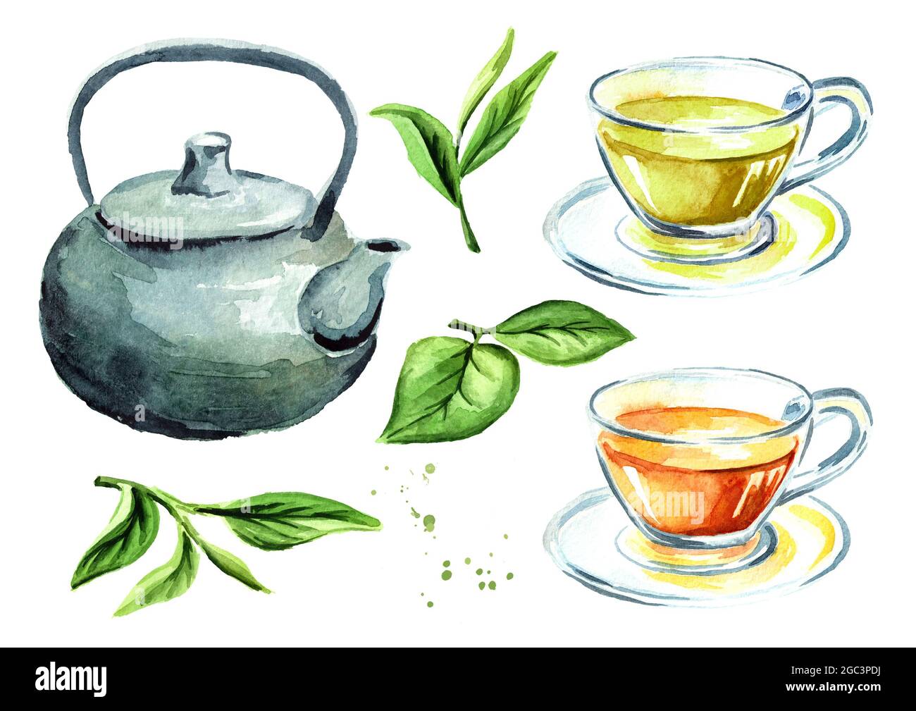 Tea set with kettle, cups and green tea leaves. Watercolor hand drawn ...