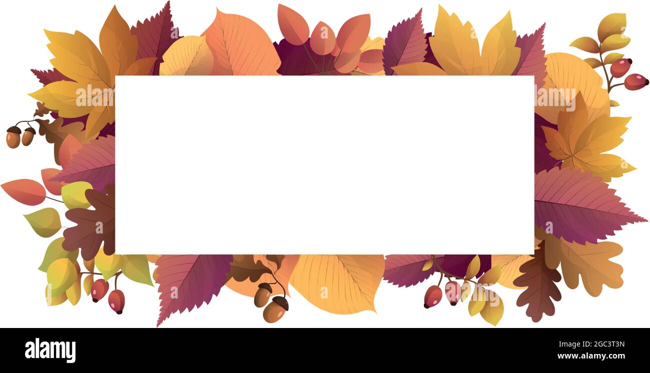 Realistic autumn foliage, white background with space for text - Vector ...