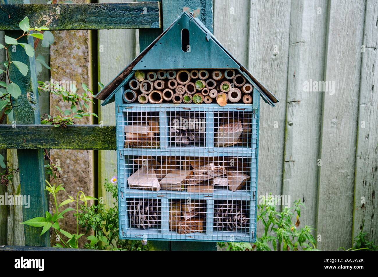 A bee or insect hotel attached to a post in a garden to provide insects with a safe place to hibernate. Stock Photo