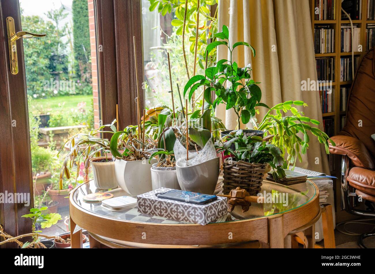 A circular glass top table with nested leaf tables with houseplants in pots on top. Stock Photo