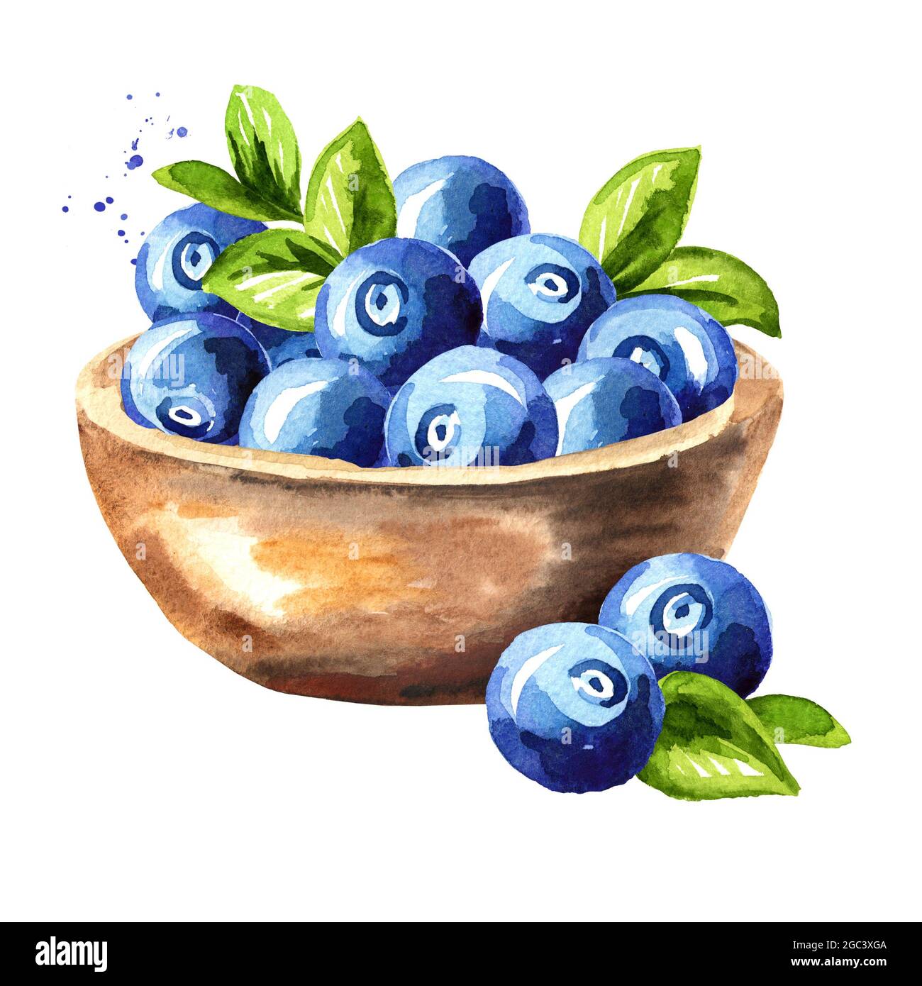 Bowl with ripe blueberry. Watercolor hand drawn illustration, isolated ...