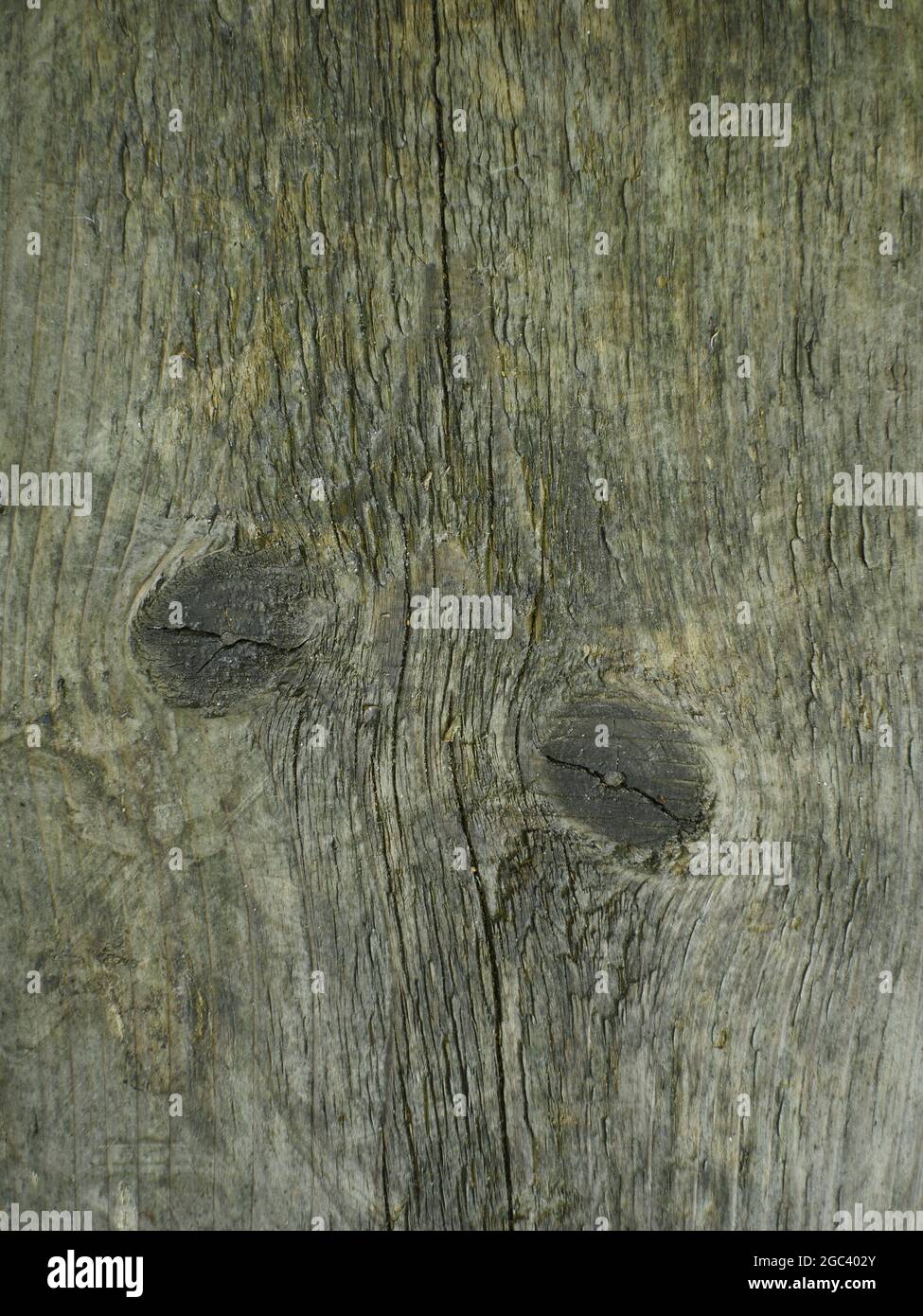old weathered cracked wood surface with knots Stock Photo