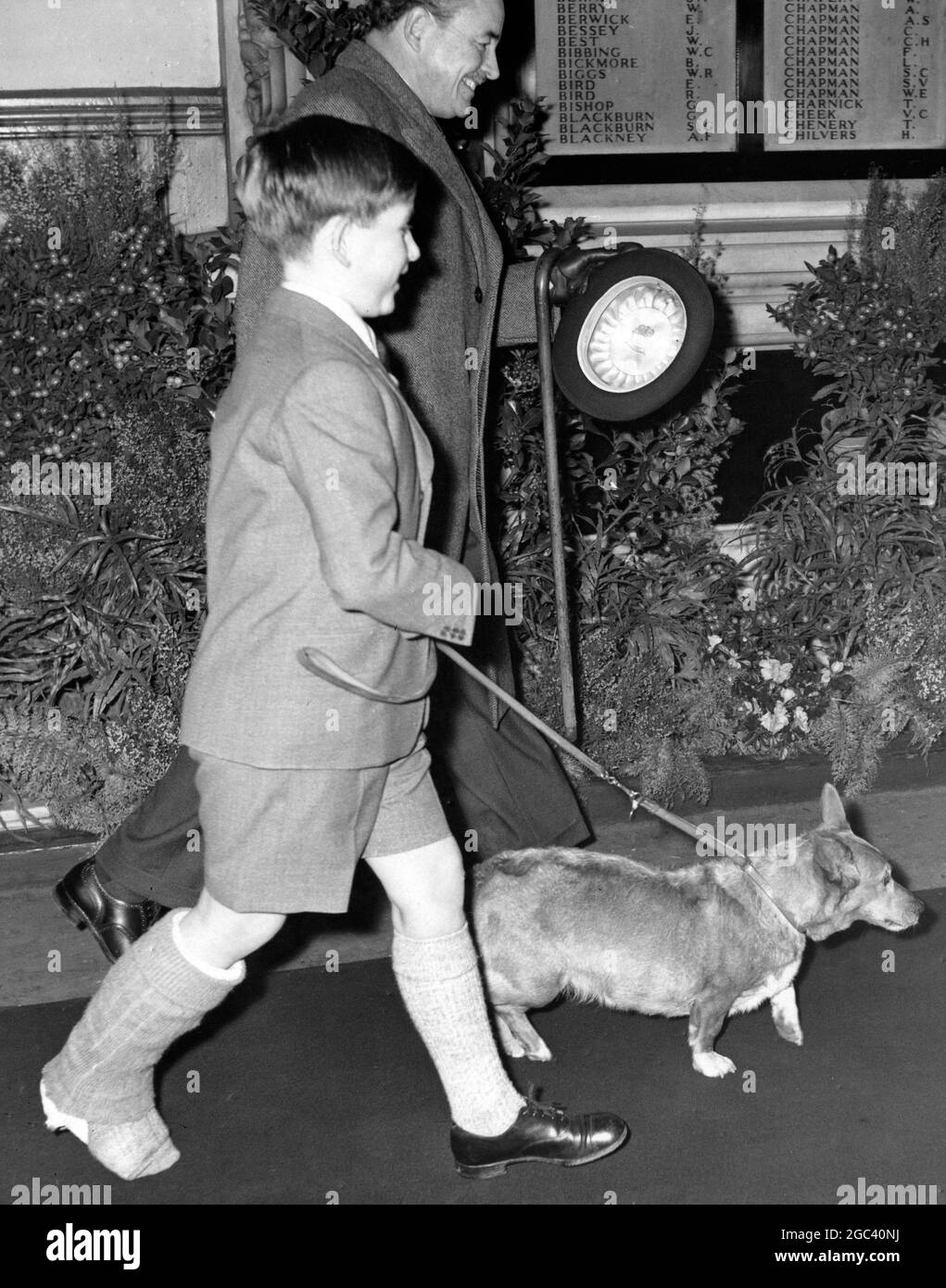 The Royal Family leave for their Christmas holiday. The Prince of Wales / Prince Charles with his right leg still in plaster, all smiles / smiling as he walks along the platform to the train, with one of the many dogs - corgi - that went with the Royal party. 22 December 1958 Stock Photo