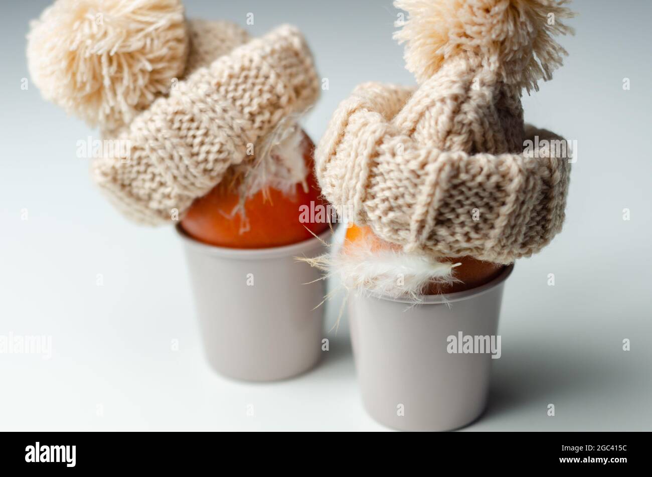 Fresh free range eggs with natural feathers in egg cups, eggs in woolen caps, funny food Stock Photo