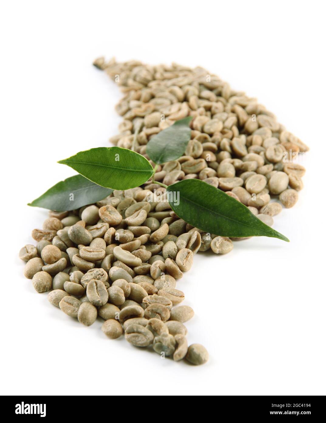 Green coffee beans and leaves isolated on white Stock Photo - Alamy
