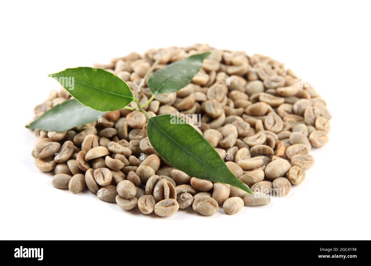 Green coffee beans and leaves isolated on white Stock Photo - Alamy