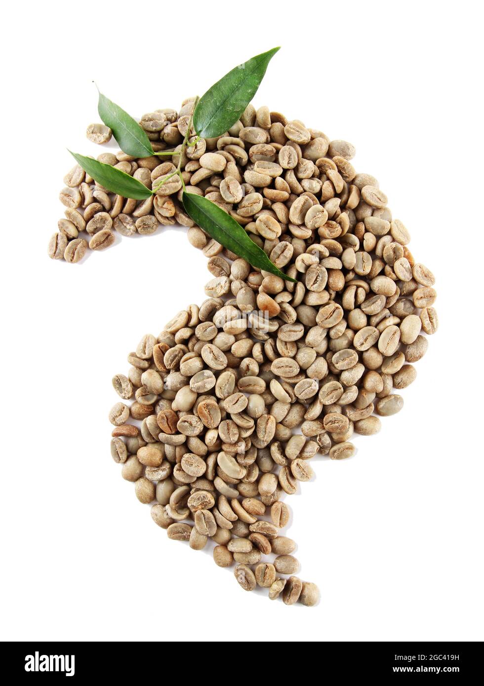 Green coffee beans and leaves isolated on white Stock Photo Alamy