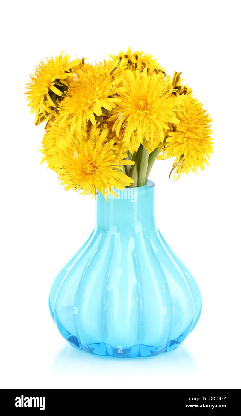 Dandelion flowers in vase isolated on white Stock Photo - Alamy
