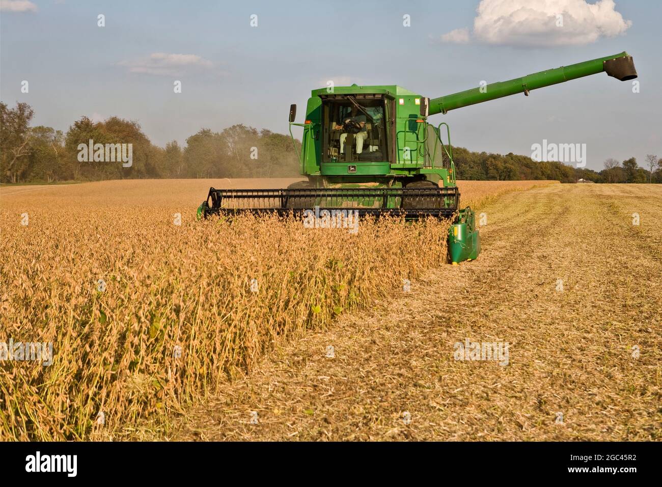 Combine harvesting field of soy beans Stock Photo Alamy