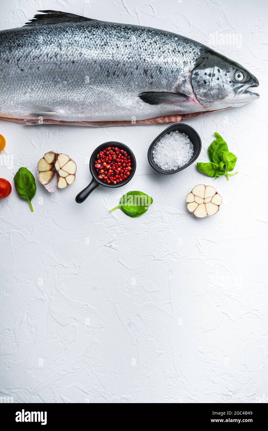 Fresh whole salmon on white background, flat lay with copy space Stock ...