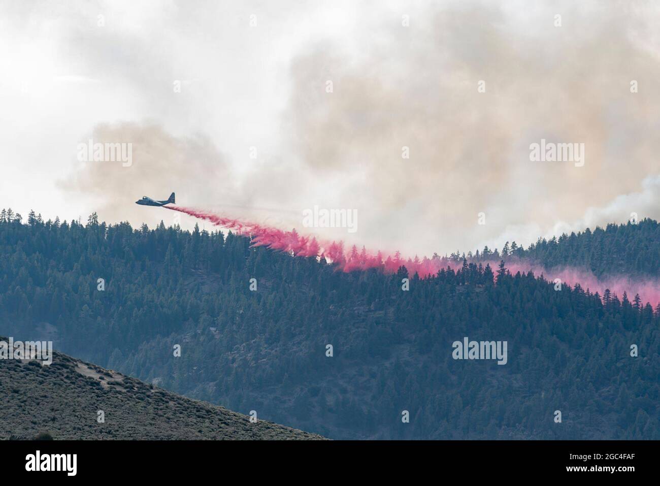 Air National Guard C-130 drops retardant on the Beckwourth Complex Fire July 9, 2021 near Frenchman Lake in N. California. In addition to other resources, three Air National Guard C-130s--two from Nevada and one from California will assist in battling the Beckwourth Complex Fire in Northern California. The USDA Forest Service activated the MAFFS-equipped Air Force C-130 aircraft through a DoD request for assistance. Stock Photo
