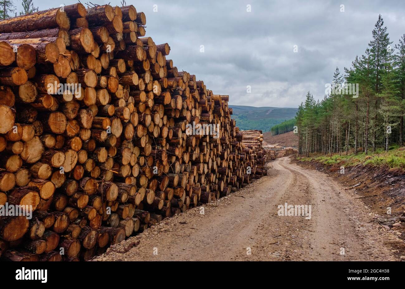Uird Tom an uird hi-res stock photography and images - Alamy