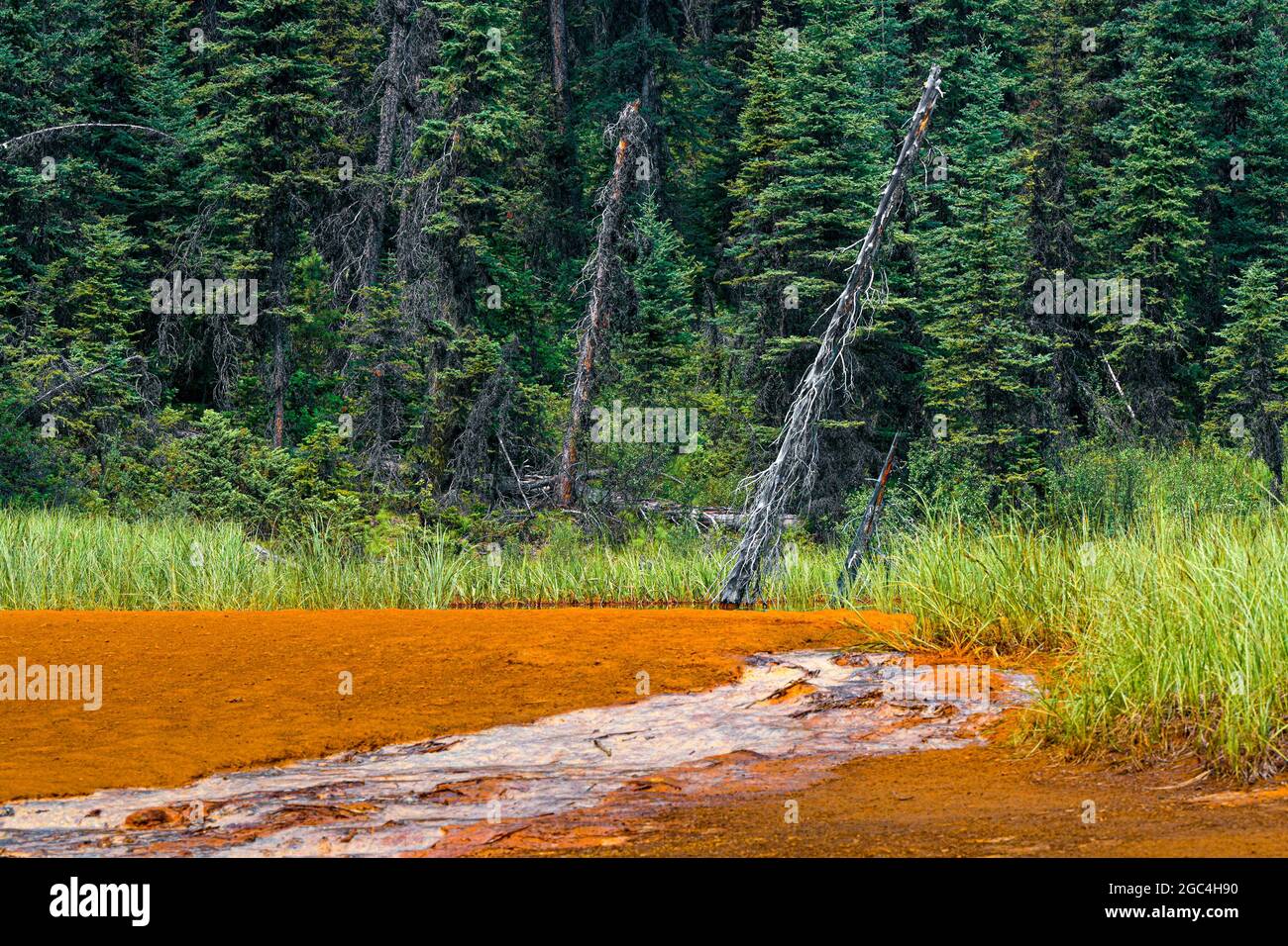 Paint Pots, Kootenay National Park, British Columbia, Canada Stock