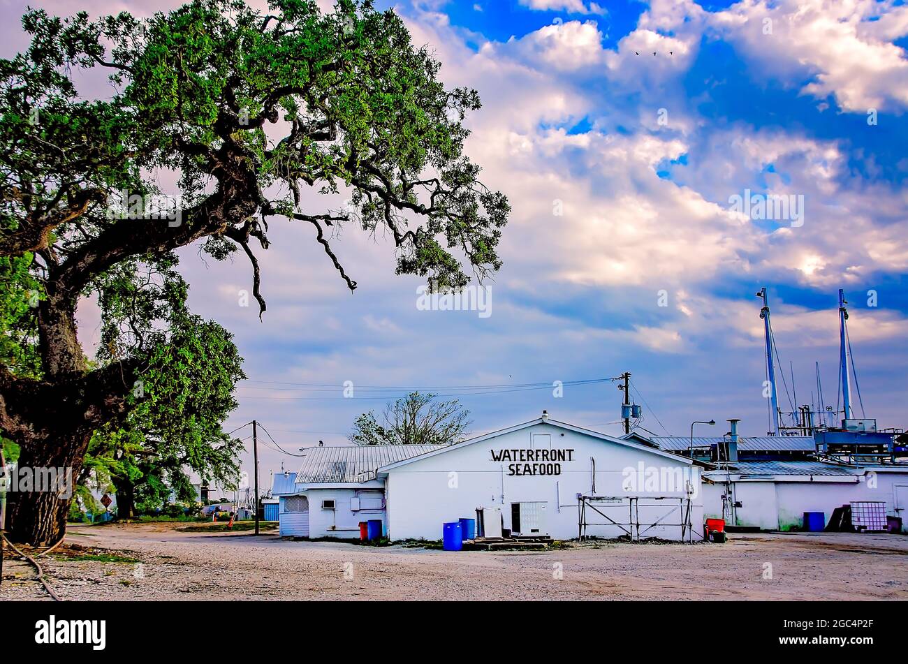 Waterfront Seafood is pictured, July 1, 2021, in Bayou La Batre, Alabama. The business opened in