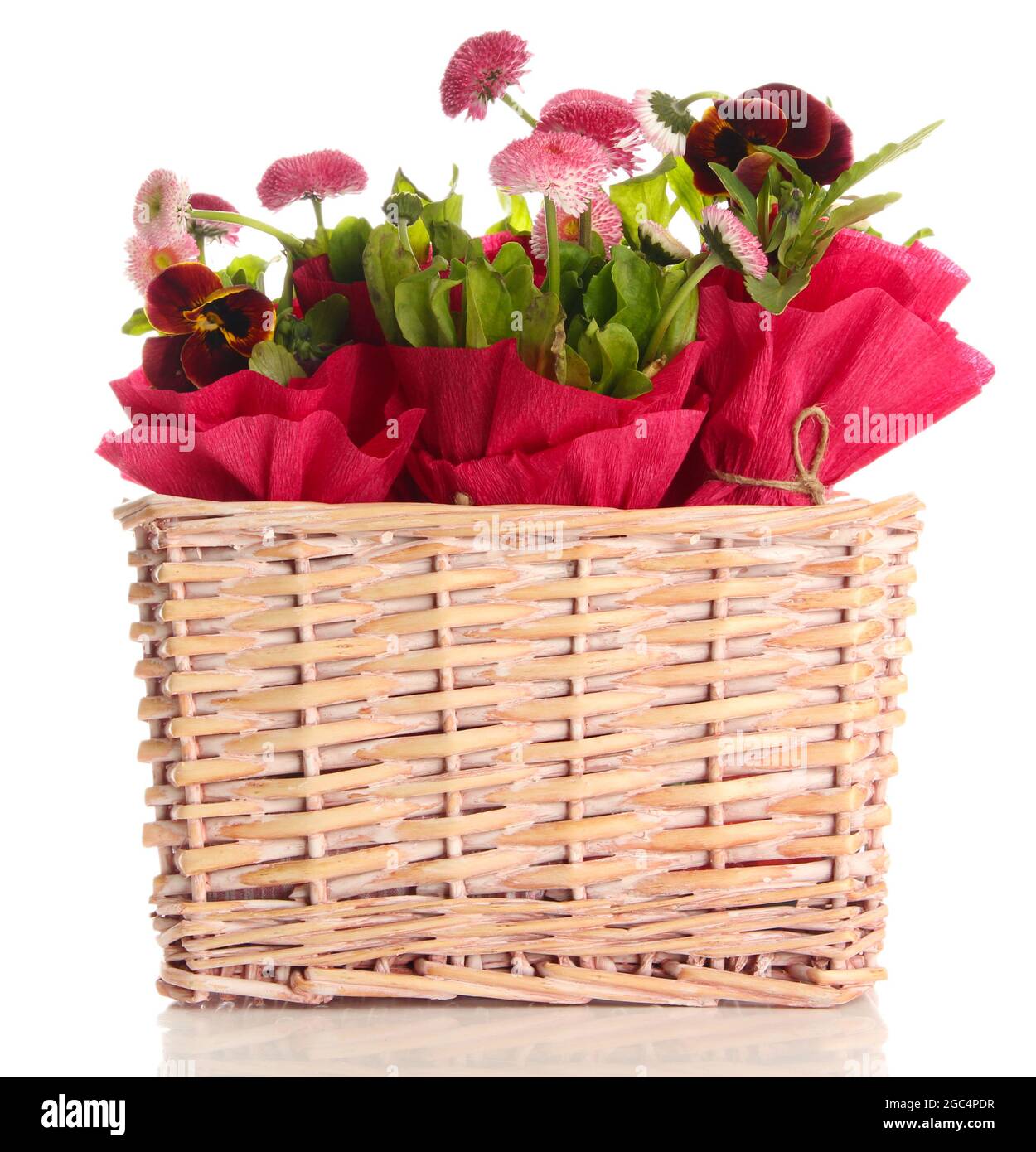 Beautiful spring flowers in basket isolated on white Stock Photo Alamy