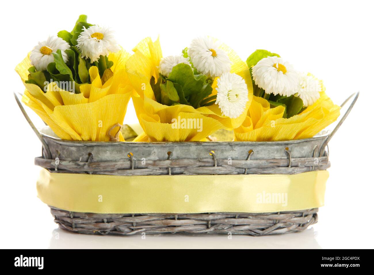 Beautiful spring flowers in basket isolated on white Stock Photo Alamy