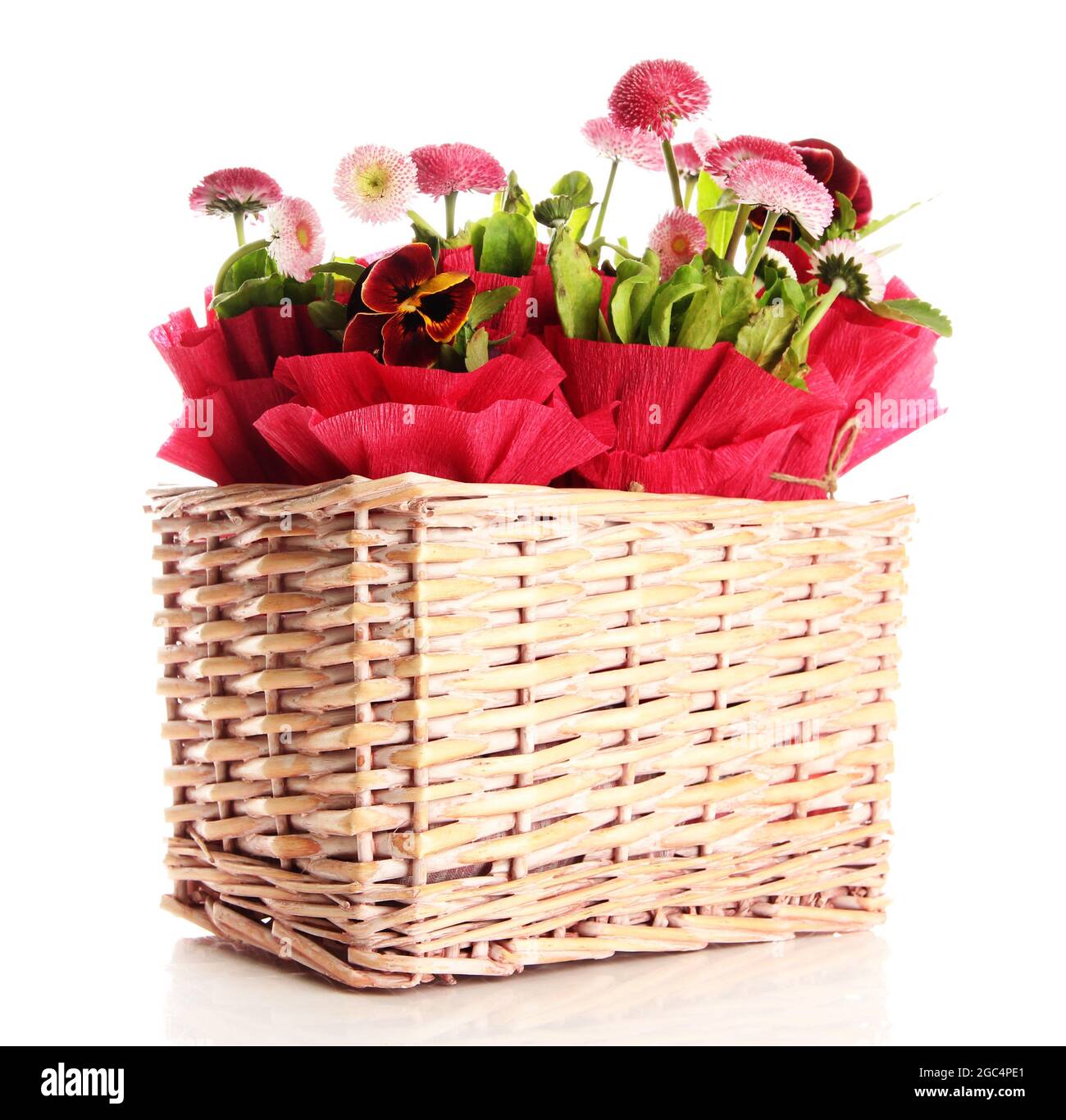 Beautiful spring flowers in basket isolated on white Stock Photo Alamy