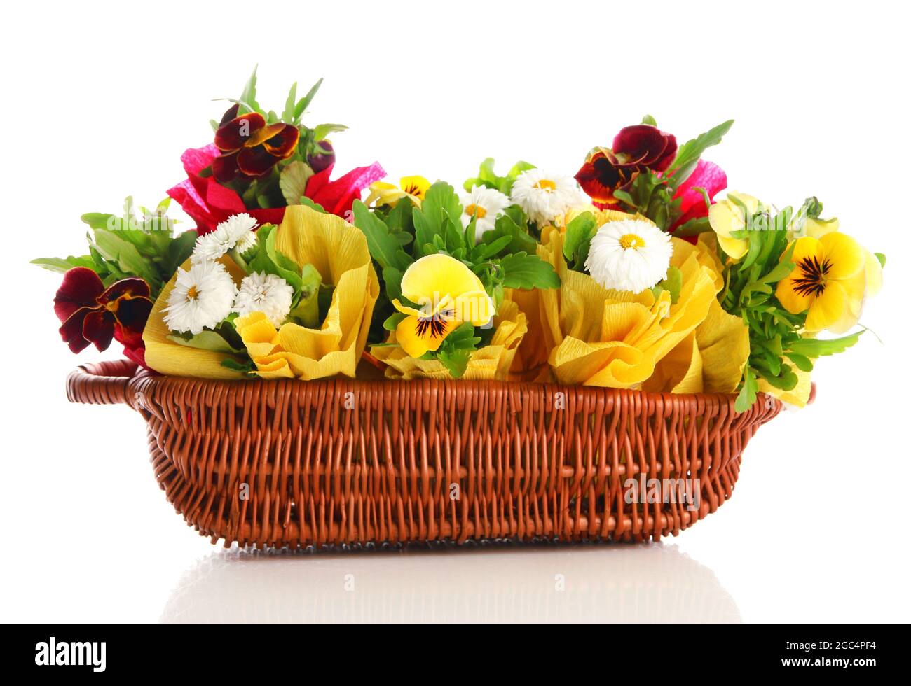 Beautiful spring flowers in basket isolated on white Stock Photo Alamy