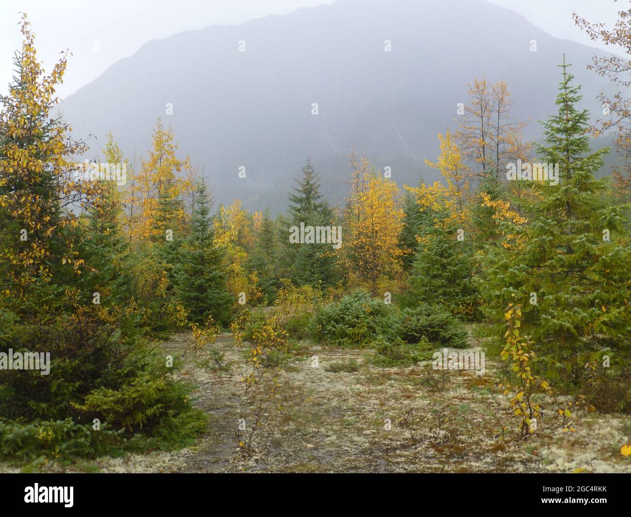 Bad weather in Alaska Stock Photo Alamy