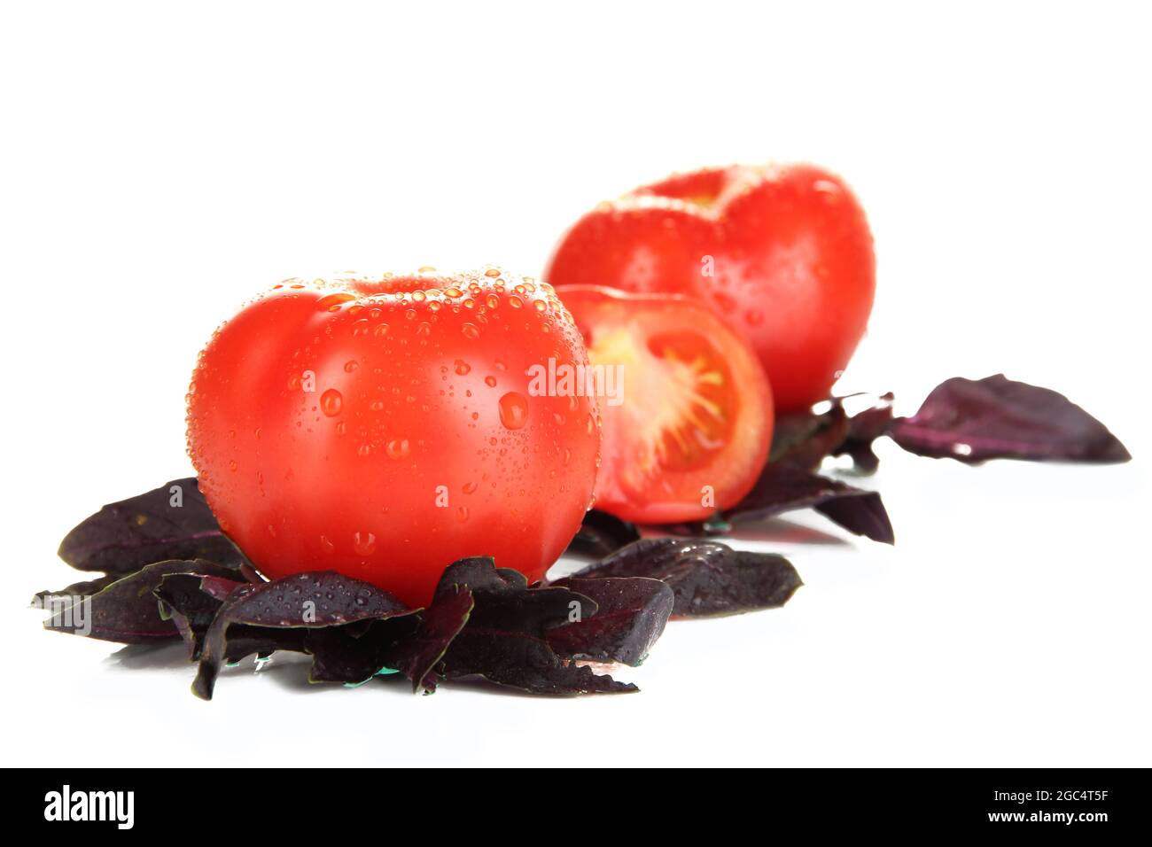 Fresh tomatoes and basil leaves isolated on white Stock Photo - Alamy