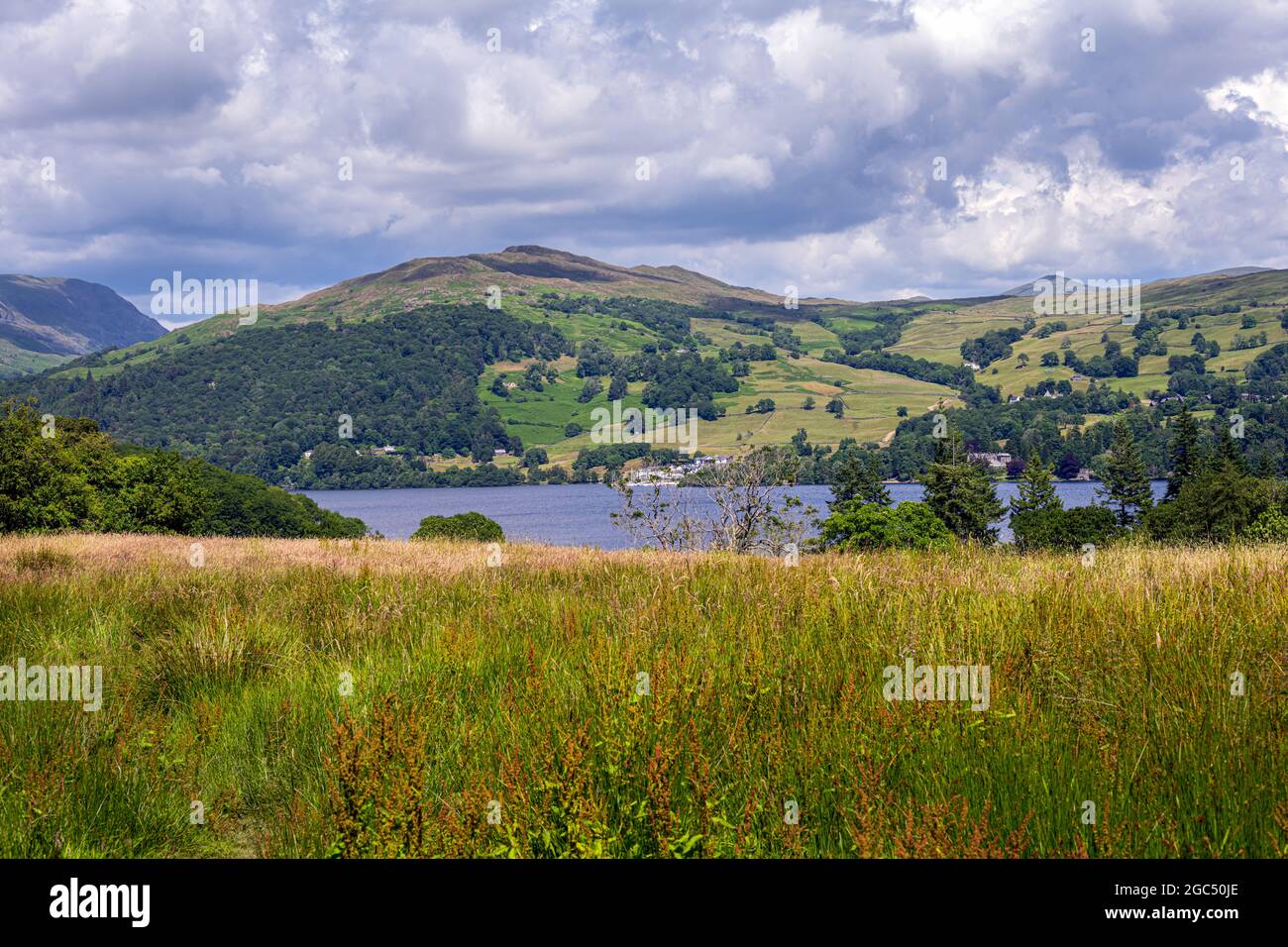 Walking along lake Windermere in summer, Lake District, England Stock Photo Alamy
