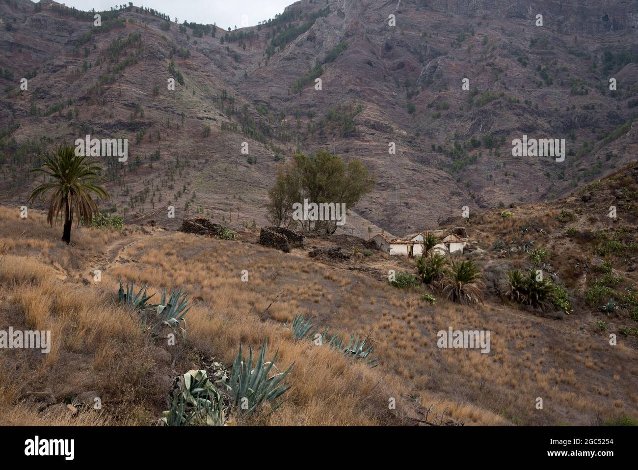 Small villages like Benchijigua at  La Gomera in the Canary Island have lots of ruins of Canarian Island houses built from lava rock. Stock Photo