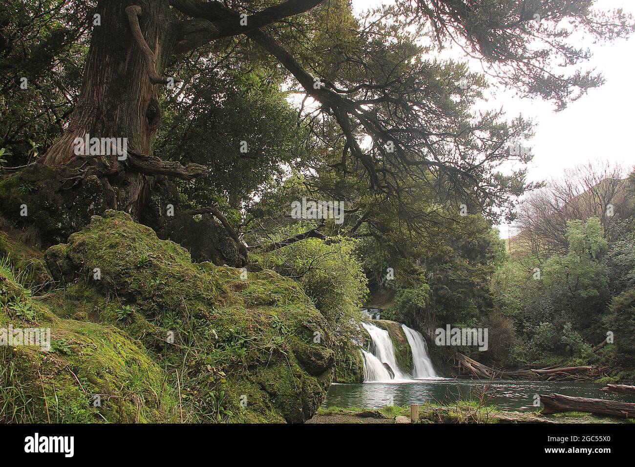 Scenic views of Craggy Range, Te Mata Peak and Maraetotara falls, Hawkes Bay, New Zealand Stock