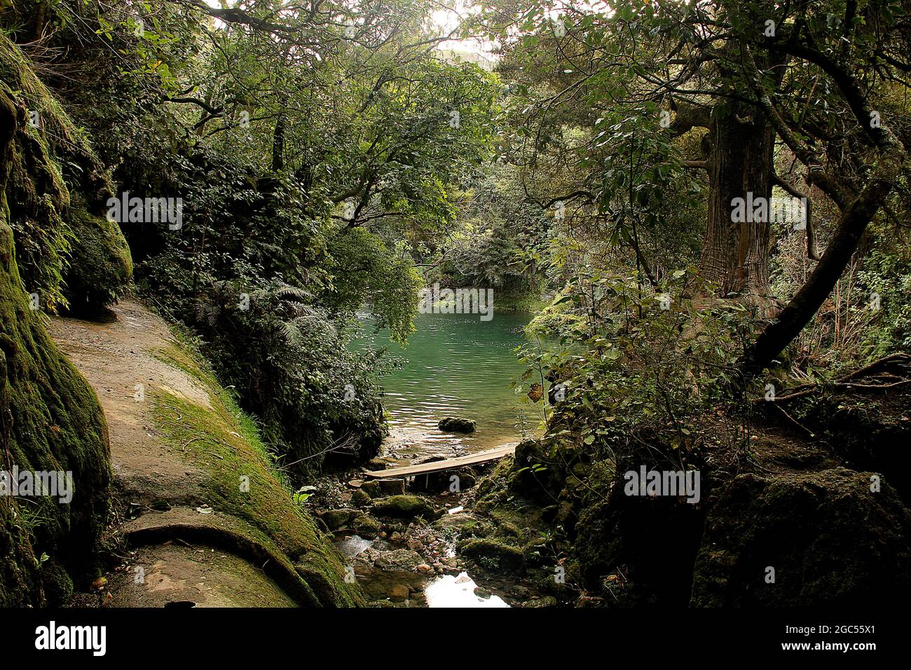 Scenic views of Craggy Range, Te Mata Peak and Maraetotara falls, Hawkes Bay, New Zealand Stock