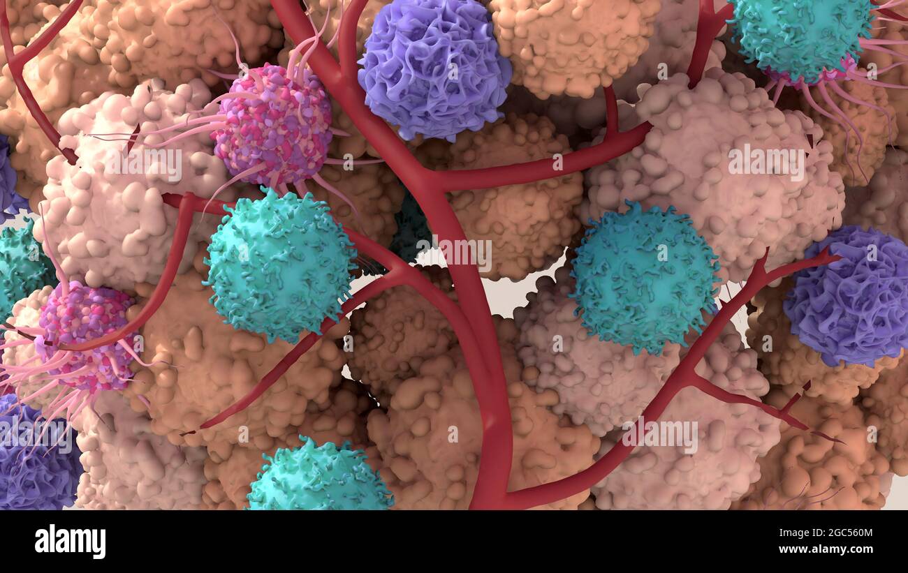 Microenvironment High Resolution Stock Photography and Images - Alamy