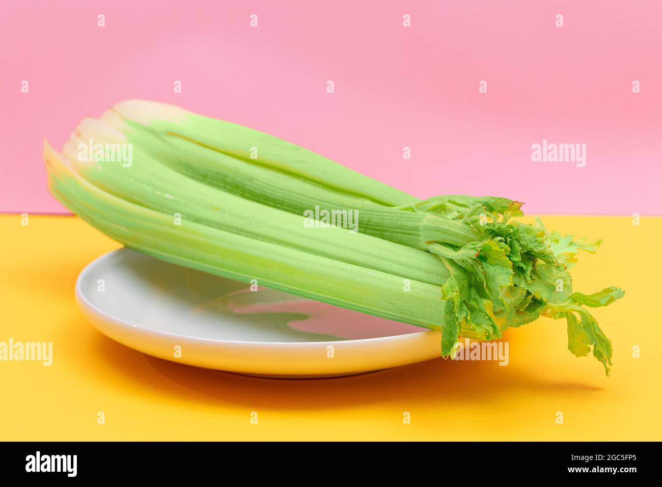Celery stalk hires stock photography and images Alamy