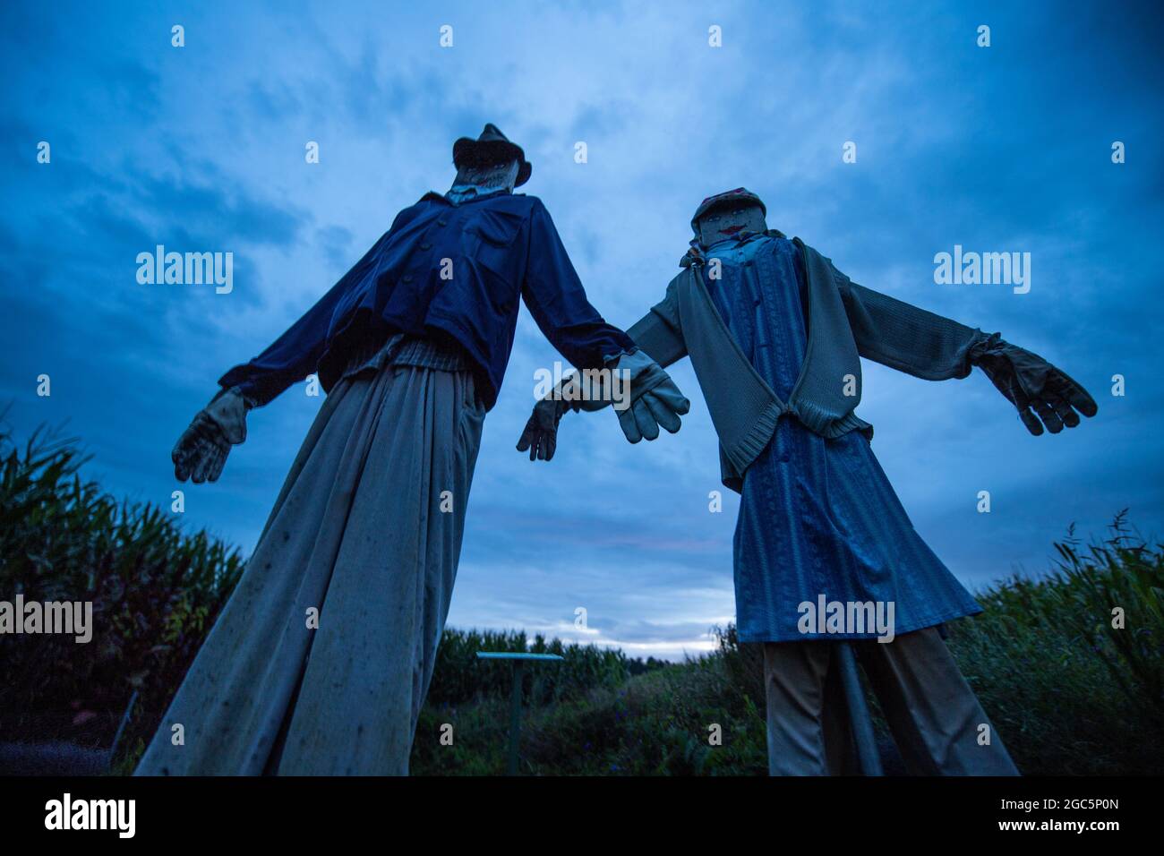 Dinklage, Germany. 07th Aug, 2021. Clouds pass over scarecrows at the Schwegermühle before sunrise. Credit: Lino Mirgeler/dpa/Alamy Live News Stock Photo