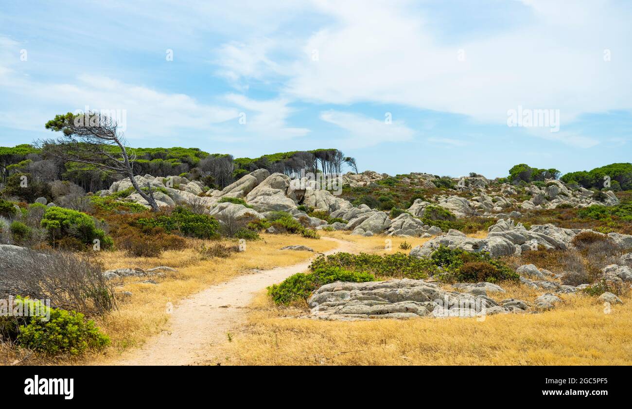 (Selective focus) Stunning landscape with a trail leading to Cala Caprarese located in the beautiful island of Caprera in the Maddalena archipelago. Stock Photo