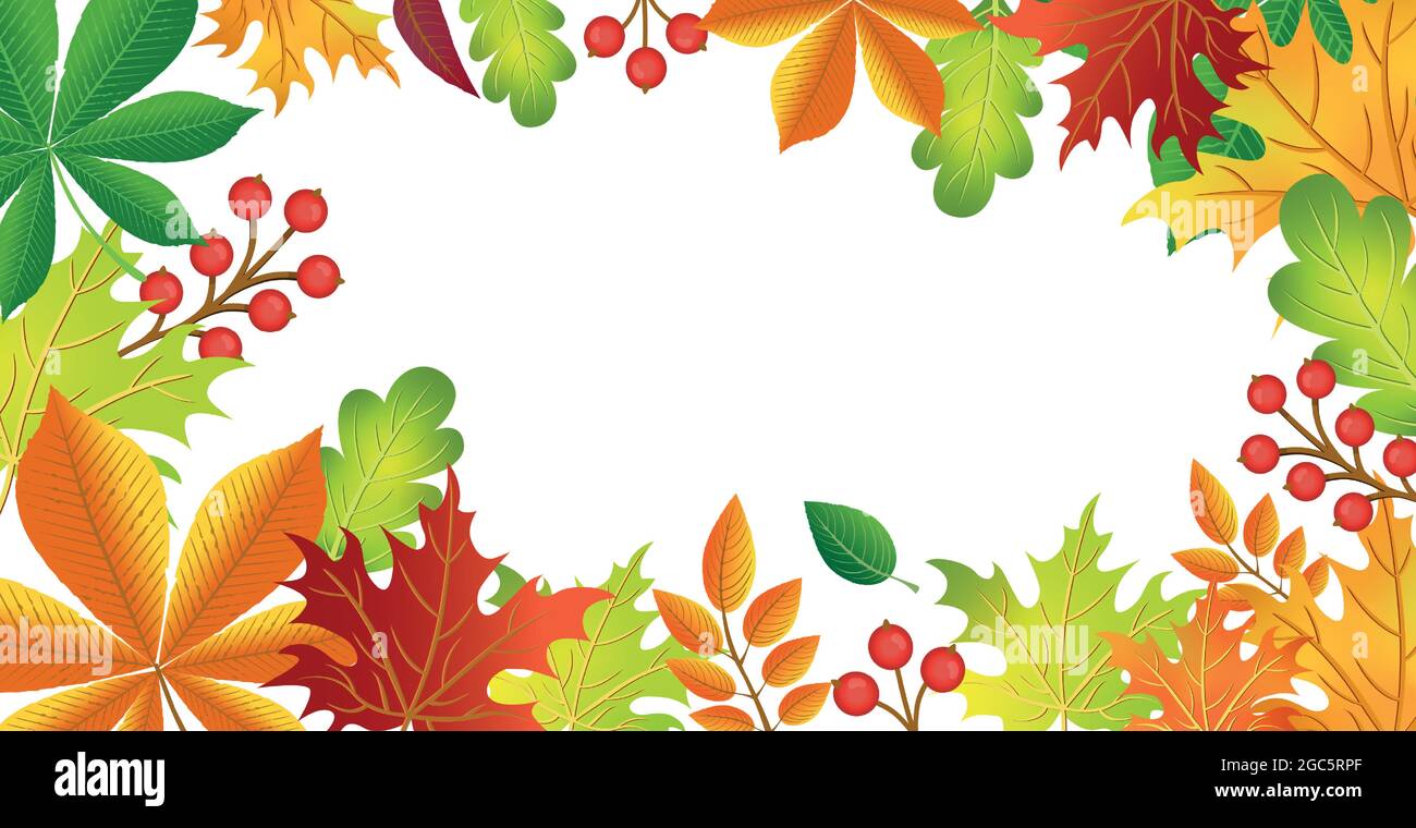 Realistic autumn foliage, white background with space for text - Vector ...