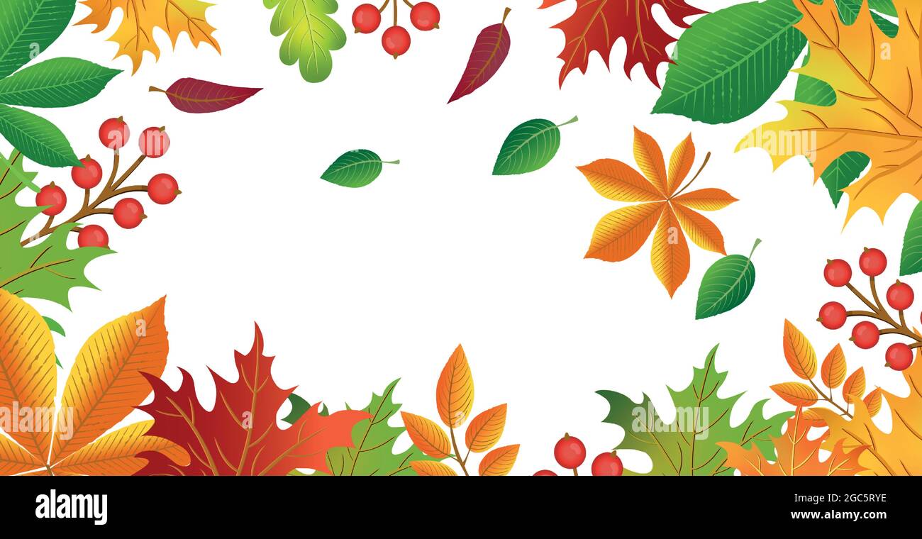 Realistic autumn leaves on a light background - Vector illustration ...