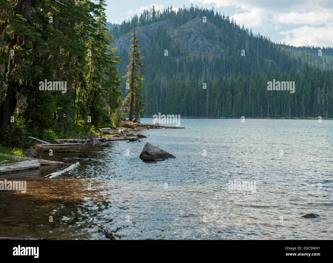 Man sitting on a log by a lake in wilderness. Stock Photo