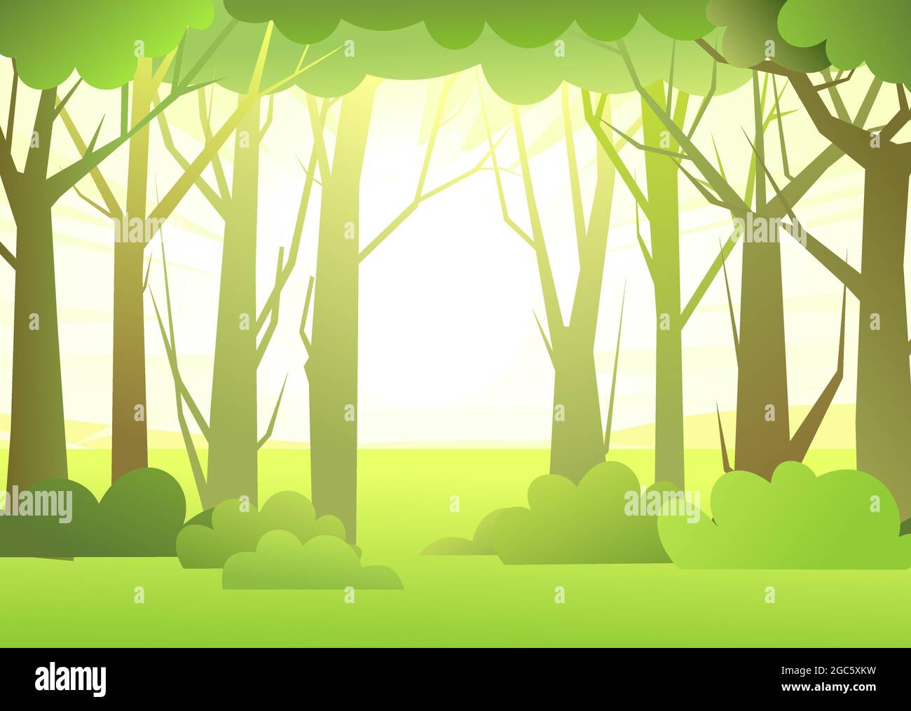 Forest landscape. Dense wild trees with tall, branched trunks. Sunrise. Summer green landscape. Flat design. Cartoon style. Vector Stock Vector