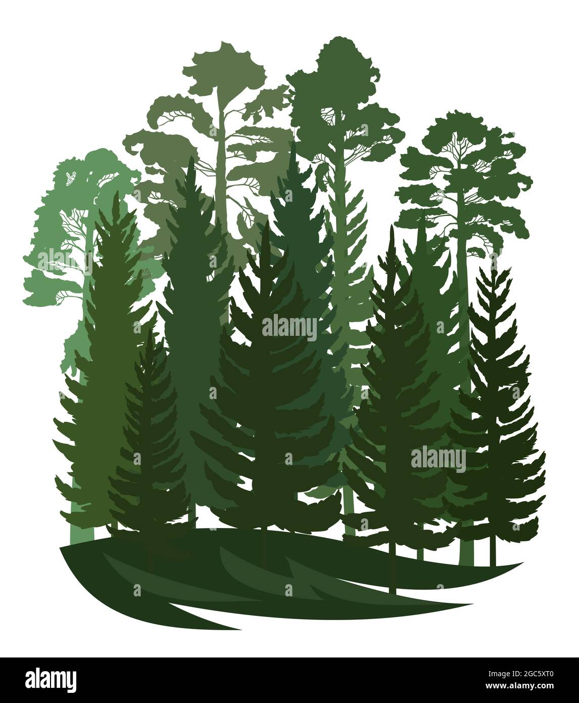 Forest silhouette scene. Landscape with coniferous trees. Beautiful view. Pine and spruce trees. Summer nature. Isolated illustration vector Stock Vector
