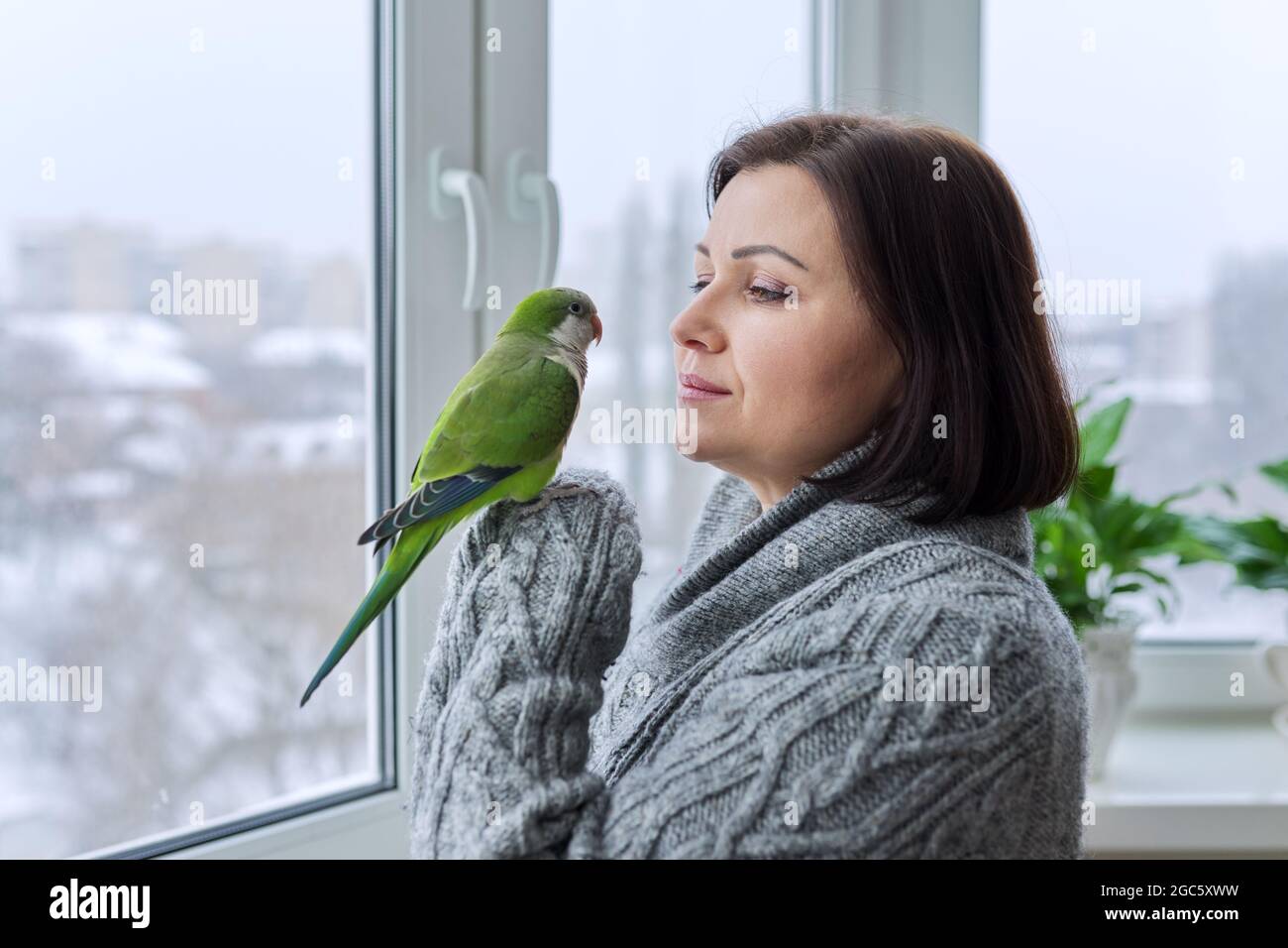 Middle aged woman and parrot together, female bird owner talking looking at green quaker pet Stock Photo